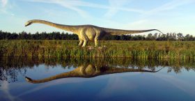Park dinozaurów “Łeba Park”